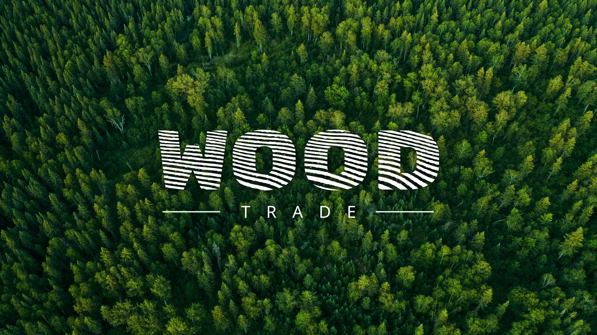 Разработка интернет-магазина компании «Wood Trade» в Давлеканово