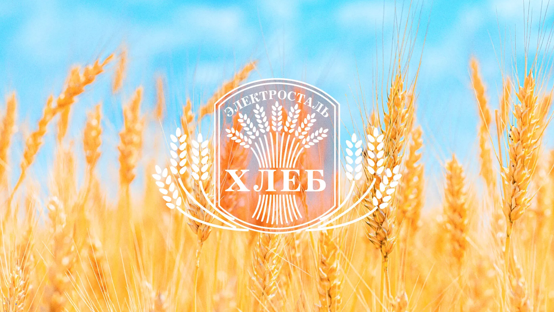 Создание сайта для хлебзавода в Давлеканово