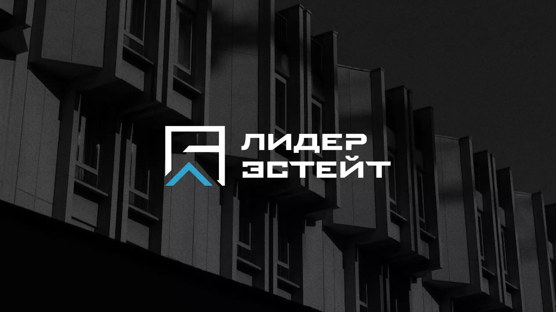 Разработка логотипа агентства недвижимости «Лидер Эстейт» в Давлеканово